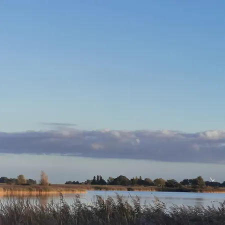 Prachtige Vakantievilla Aan Ijsselmeer Makkum Extérieur photo